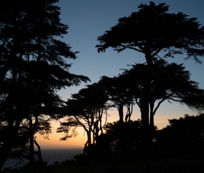 Land’s End San Francisco