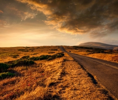 Various Landscapes